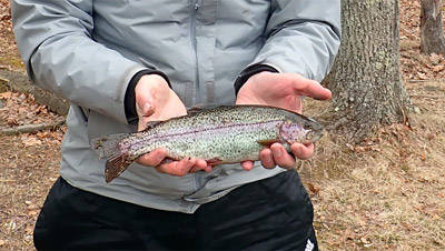 Stocked trout at the Ashland Reservoir