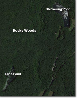 rocky woods