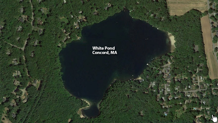 white pond